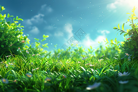 阳光绿草清新的草地和蓝天背景