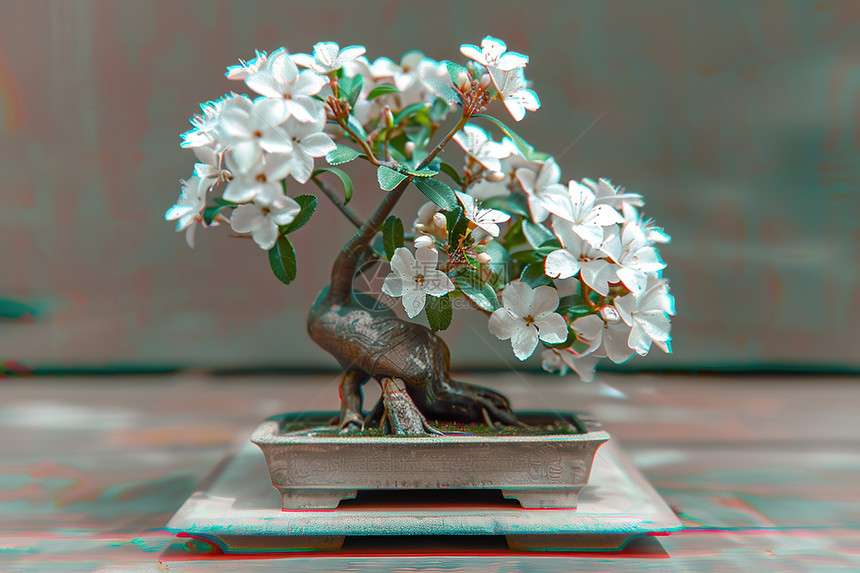 白花盆栽在桌上图片