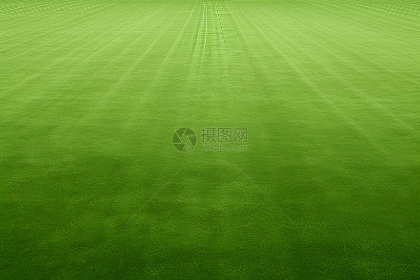 绿色足球场图片