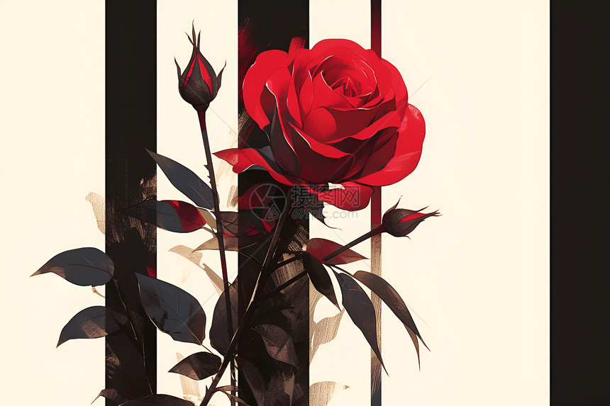 复古优雅的红玫瑰图片