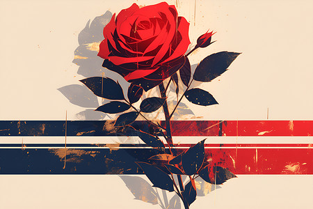 红玫瑰与线条的鲜明对比插画