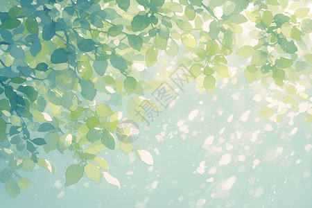 清新树叶的光影背景图片