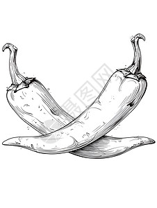 黑白食物两只辣椒的简约黑白线描插画