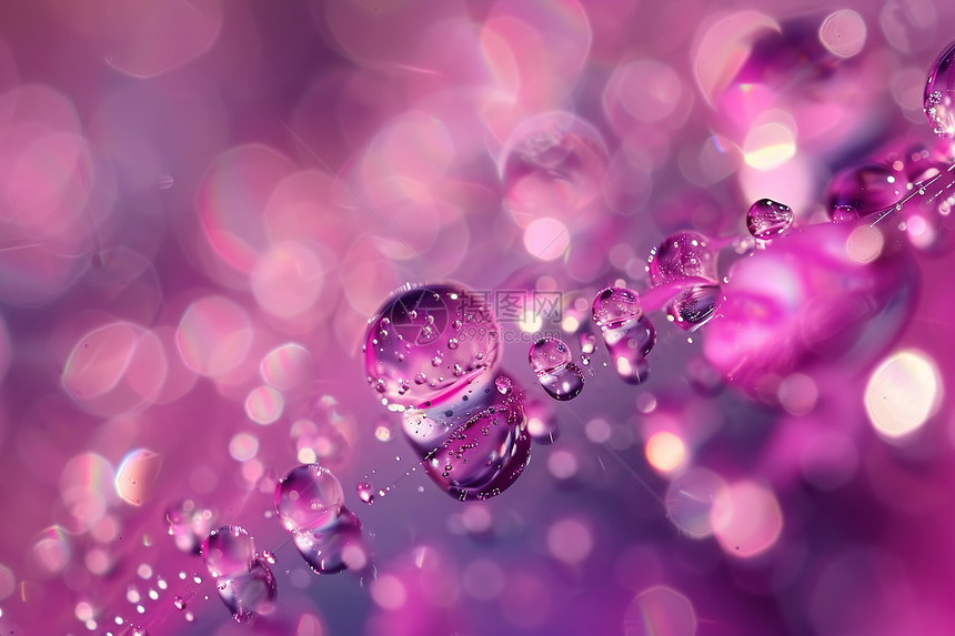 粉色上的水滴图片