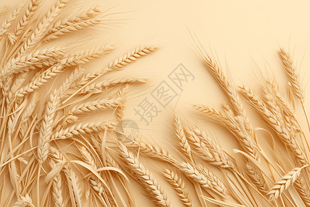 谷粒多柔和背景上的麦穗插画