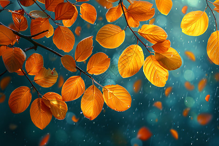 漂浮树叶秋雨中落叶上的水滴插画