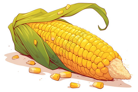 生玉米阳光里的玉米插画