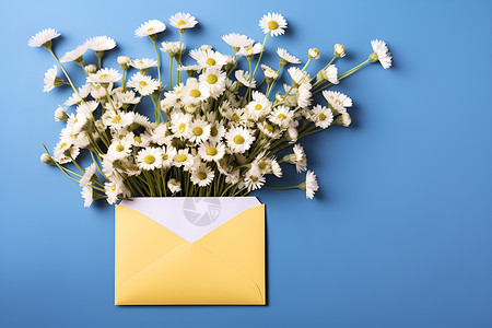 花卉信件邮件里的雏菊背景