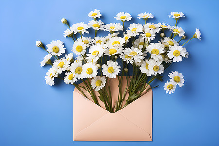 花卉信件信封里的花束背景