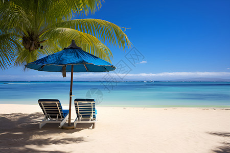 海洋景色沙滩上的遮阳伞背景