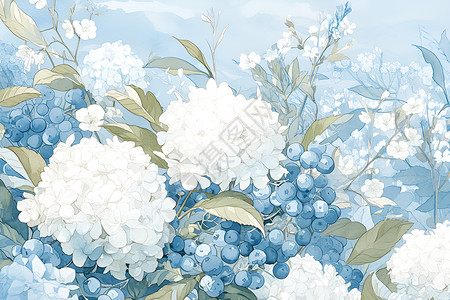 白色绣球花插画背景图片