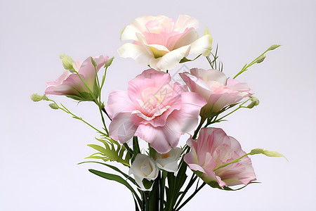 清新淡雅的花卉背景图片