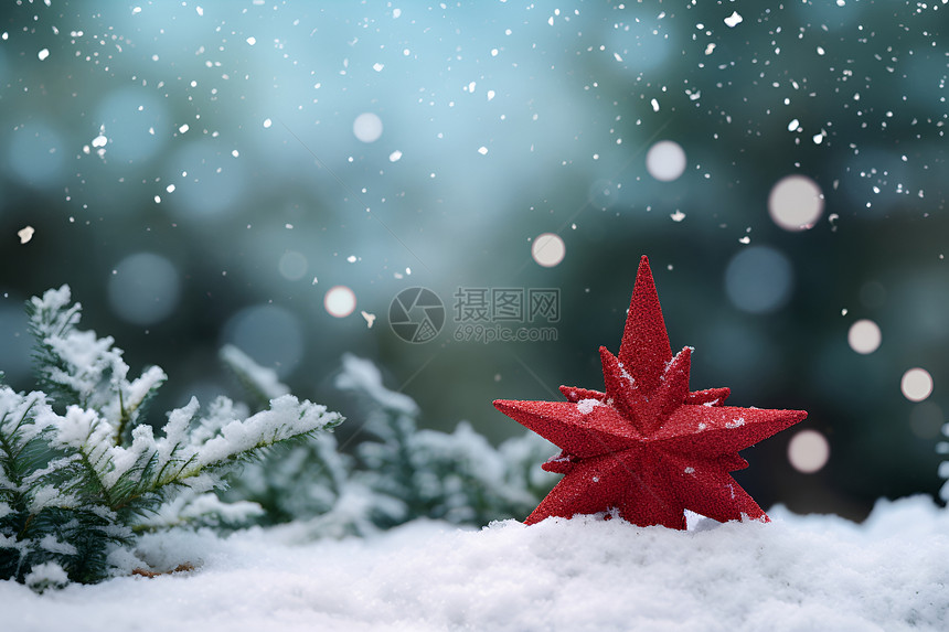 雪地中的装饰品图片