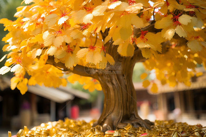 秋天的许愿树图片