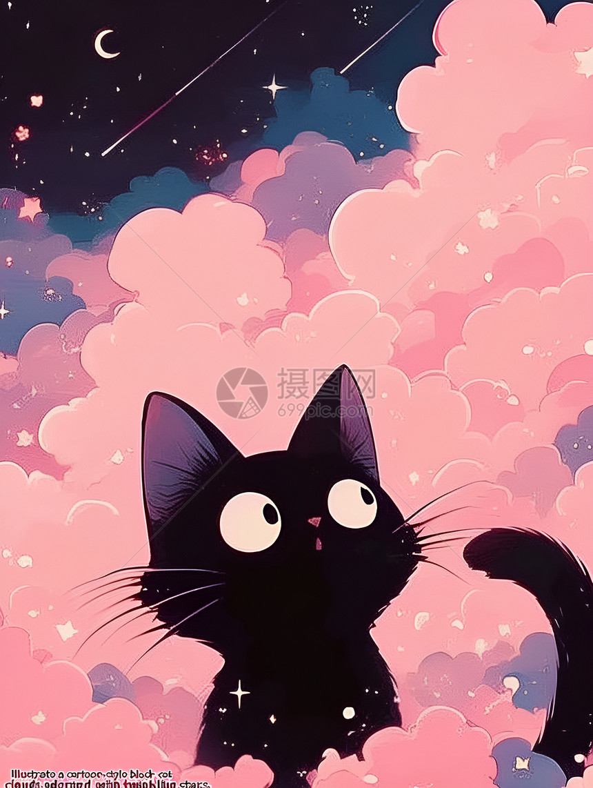 星空下的小猫图片