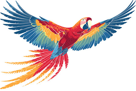 可爱的鸟类炫彩飞翔的鹦鹉插画