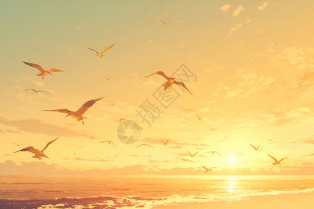 海鸥伴随着太阳的升起高清图片