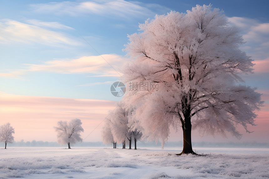 冬日雪地美景图片