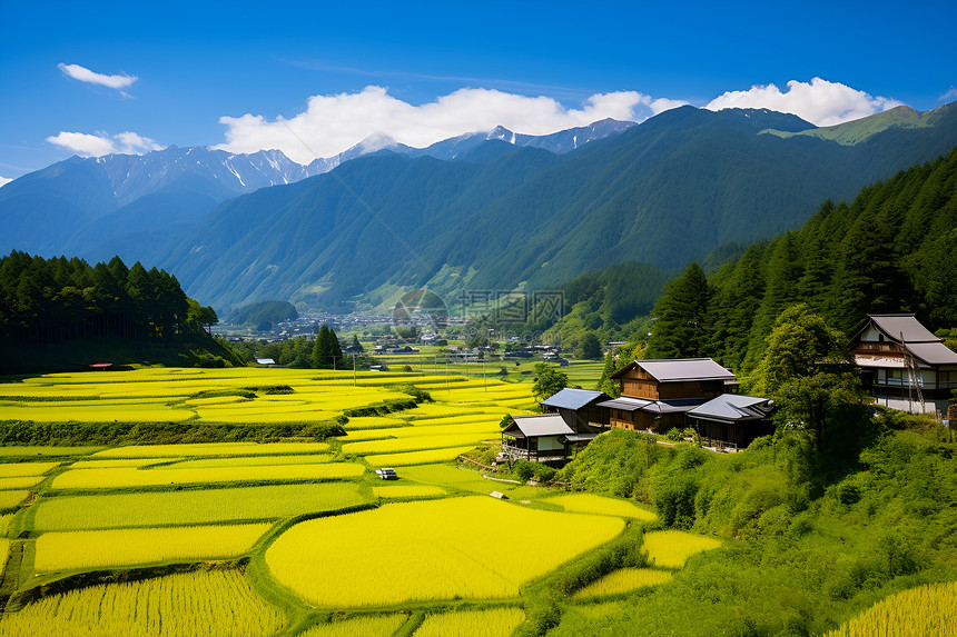 乡村美丽风景图片