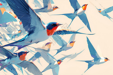 飞行燕子天空中飞翔的燕子插画