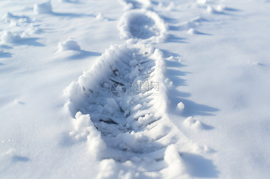 寒冬雪地的足迹图片