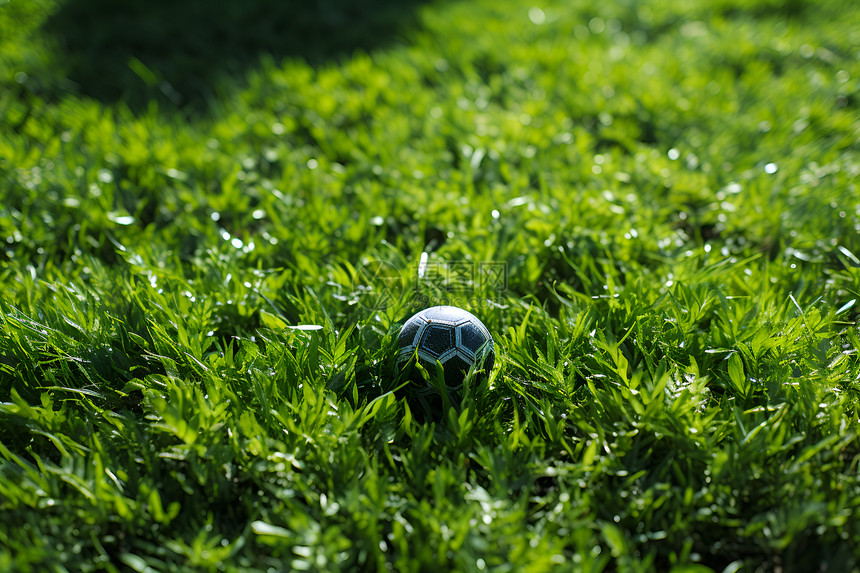 草地上的球图片
