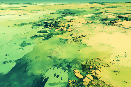 绿藻污染的海水插画