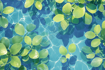 叶子漂浮水中漂浮的绿叶插画