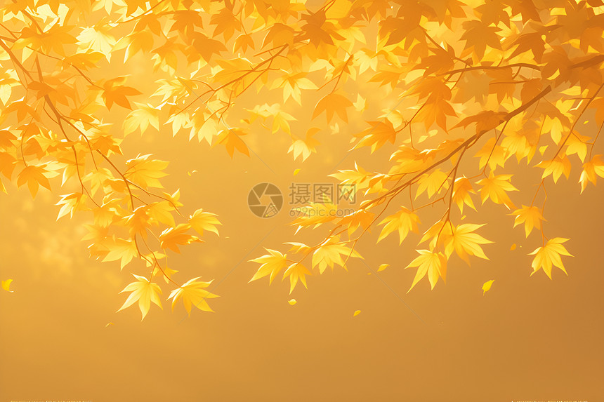 金黄的秋叶图片
