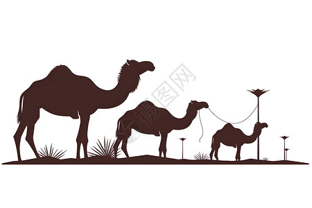 热带沙漠沙漠中的骆驼插画