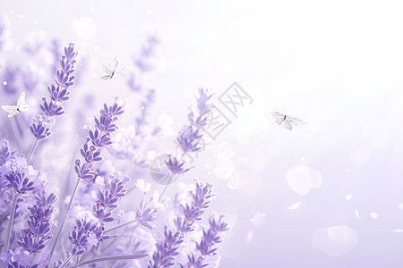蜜蜂在花上蜜蜂在薰衣草上飞舞插画