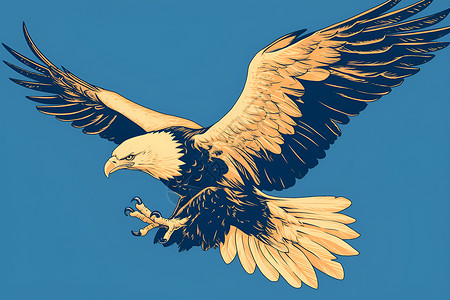 南猎鹰翱翔蓝天中的雄鹰插画