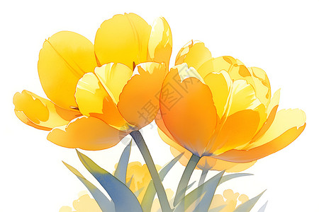 橙色水彩郁金香春日盛开的郁金香插画