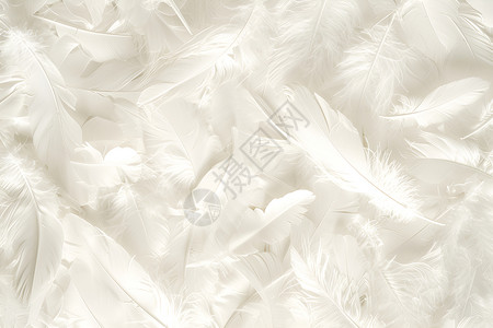 白色长桌柔软如雪的白色羽毛插画