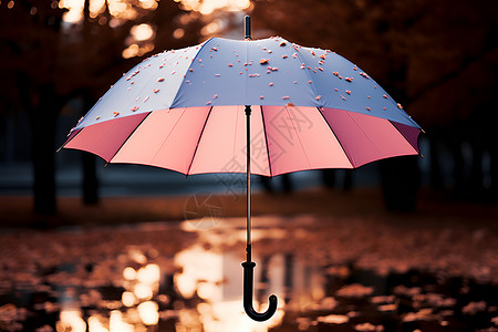粉湿伞雨中的粉蓝色伞设计图片