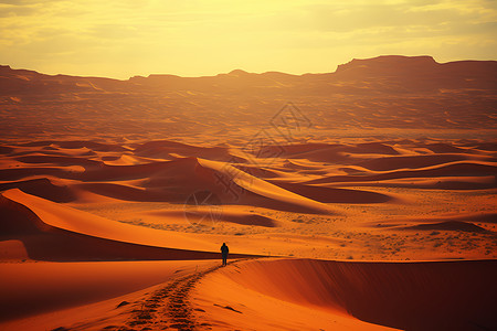 沙子素材落日下的沙漠行者插画