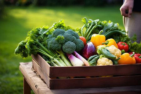 蔬菜线稿健康的菜篮子背景
