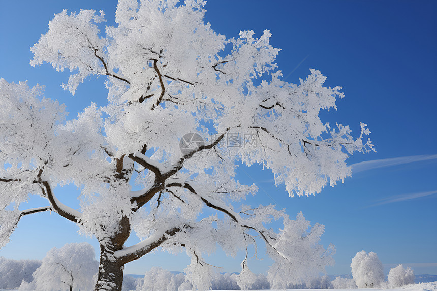 白雪皑皑的冬天图片