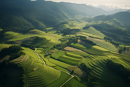 暗黑山丘山谷环绕的农田背景