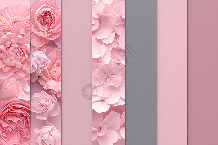 粉色线条花粉色的花朵背景插画
