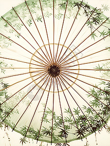 装饰纹绿色竹纹的油纸伞插画