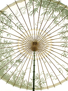 竹伞传统的竹纹伞插画