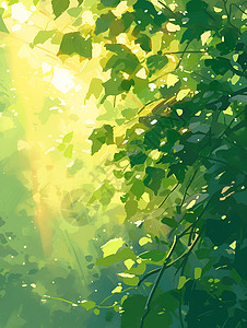 下一首阳光下的树林插画