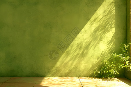 空间墙绿墙与植物的自然光影插画