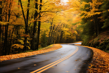 秋天的弯曲公路背景图片