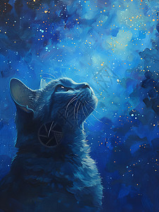 星空下凝视的猫插画