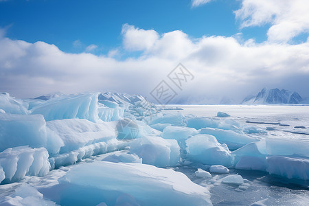 冰雪王国海洋王国高清图片