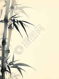 竹叶塑料纹理坚韧的竹子插画