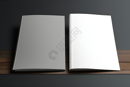 两本白色的书籍高清图片