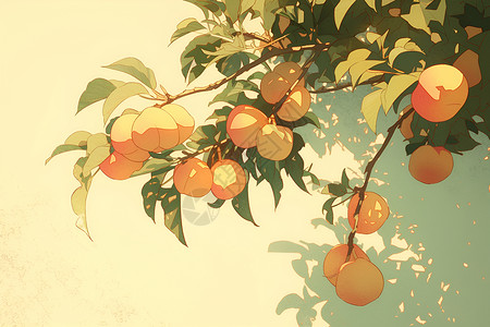 树上桃桃树上的果实插画